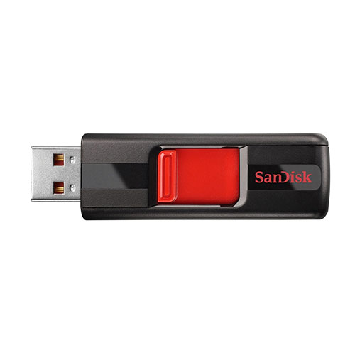 SanDisk 32GB Flash Drive